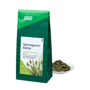 Produktbild von SPITZWEGERICHBL&Auml;TTER Arzneitee Bio Salus