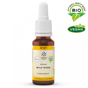 Produktbild von BACHBL&Uuml;TEN No.37 Wild Rose Bio